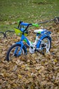 children`s bike in the park