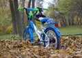 Children`s bike in the park