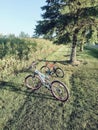 Two bicycles in the grass at a farm in southern Ontario