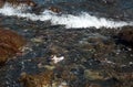 Children's boot in the water on black sand volcanic beach