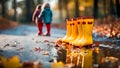Children\'s bright rubber boots near a puddle on an alley in the park