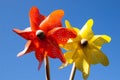 Children`s bright toys in the sunlight against the blue sky. Turntables, weathercocks, whirligig, games with the wind. The concept