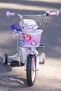 Children`s color four wheel bicycle with flowers