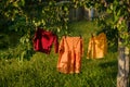 Children`s clothes hang on a clothesline and dry after washing in nature under a tree Royalty Free Stock Photo