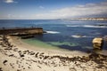 Children`s Cove and Sea Lions La Jolla California Royalty Free Stock Photo