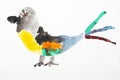 Bird with colorful feathers. Real drawing of a small child. Drawing by watercolor. Royalty Free Stock Photo