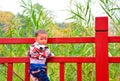 Children's dangerous climb Royalty Free Stock Photo