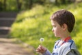 Children's Day. Sweet little boy blowing dandelion Royalty Free Stock Photo