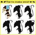 Children's developing game to find an appropriate shadow animal of the opossum. Vector