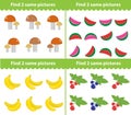 Children s educational game. Find two same pictures. Vector illustration