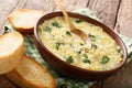 Children`s egg cream soup stracciatella with farfalline and chee Royalty Free Stock Photo