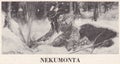 Vintage illustration of Nekumonta