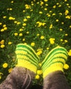 Children`s feet in dandelions Royalty Free Stock Photo