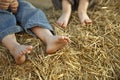 Children's feet in the hay Royalty Free Stock Photo