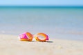 Children`s goggles for scuba diving lie on the sandy beach against the background of the sea.