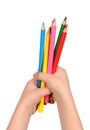 Children's hand holds the colorful pencils