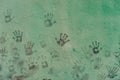 Children's Handprints on a Green Wall