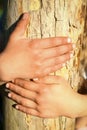 Children`s hands hold a stump in the park in nature