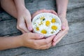 Children`s hands holding a Cup with chamomile flowers. The concept of the symbol of summer, childhood Royalty Free Stock Photo