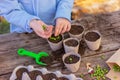 Children`s hands plant pea seeds in pots with soil for seedlings Royalty Free Stock Photo