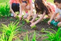 Children`s hands planting young tree on black soil together as the world`s concept of rescue. Royalty Free Stock Photo