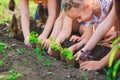 Children`s hands planting young tree on black soil together as the world`s concept of rescue. Royalty Free Stock Photo