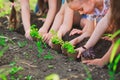 Children`s hands planting young tree on black soil together as the world`s concept of rescue. Royalty Free Stock Photo