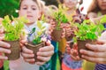 Children`s hands planting young tree on black soil together as the world`s concept of rescue. Royalty Free Stock Photo