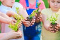 Children`s hands planting young tree on black soil together as the world`s concept of rescue. Royalty Free Stock Photo