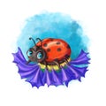 Children`s illustration in digital style, cartoon ladybug, insect for a child of red color, who sits on a flower, cornflower field