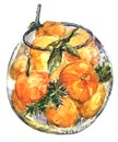 Children`s illustration with watercolor tangerines.