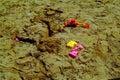 Children`s plastic molds in the sandbox Royalty Free Stock Photo