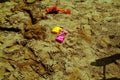 Children`s plastic molds in the sandbox Royalty Free Stock Photo