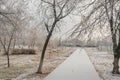 Children`s playground in the winter park. Children`s Playground in the city Park Royalty Free Stock Photo