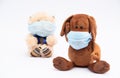 Children`s plush dog and bear in a protective gauze bandages