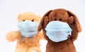 Children`s plush dog and bear in a protective gauze bandages