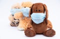 Children`s plush dog and bear in a protective gauze bandages