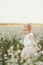 Children`s portrait of a girl.beautiful girl in a flowering field. Young girl play in spring dandelion field Royalty Free Stock Photo