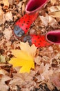 Children`s Rubber boots on leaves Royalty Free Stock Photo