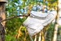 Children\'s shoes hanging on a tree in the forest. Abandoned footwear. Discarded rubber shoes. The problem of pollution and ecolog Royalty Free Stock Photo