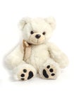 Children`s toy - white teddy bear on a white background