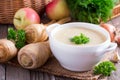 Children`s soup with vegetables Royalty Free Stock Photo