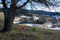 A children\'s swing hangs under the tree. Ski hotels are located in the distance Royalty Free Stock Photo