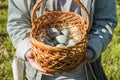 Children`s teenage hands hold a wicker brown hand-made basket with blue textured Easter eggs. The concept of the spring Royalty Free Stock Photo