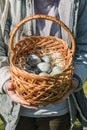 Children`s teenage hands hold a wicker brown hand-made basket with blue textured Easter eggs. The concept of the spring Royalty Free Stock Photo