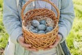 Children`s teenage hands hold a wicker brown hand-made basket with blue textured Easter eggs. The concept of the spring Royalty Free Stock Photo