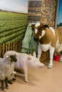 children`s toy farm. Toy sheep, pig, cow large on a farm. Royalty Free Stock Photo