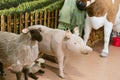 children`s toy farm. Toy sheep, pig, cow large on a farm. Royalty Free Stock Photo