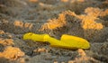 Children's toys on a sandy beach, blue sky and the sea in the background Royalty Free Stock Photo