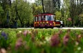 The children`s train from Parcul Mare